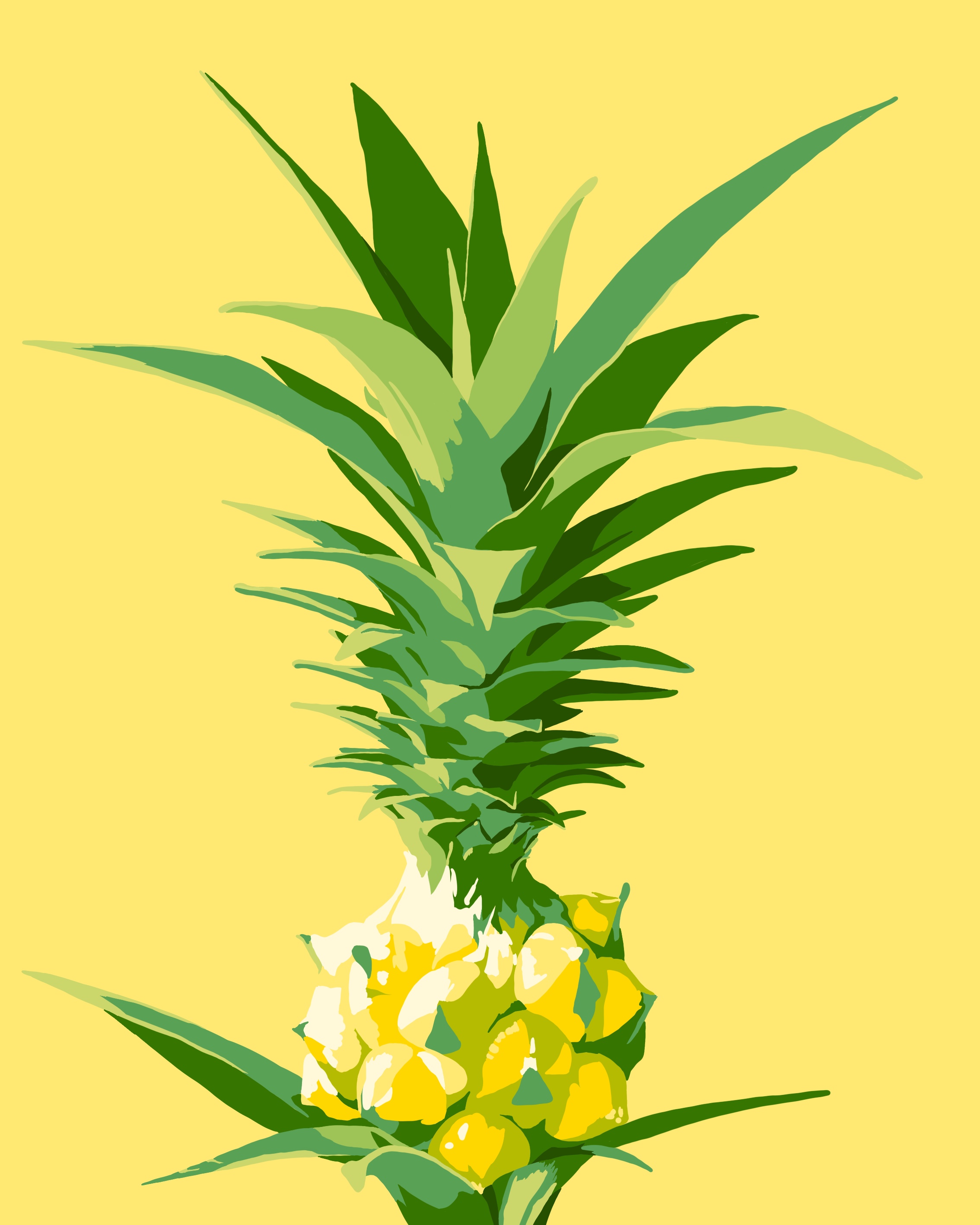 Pineapple